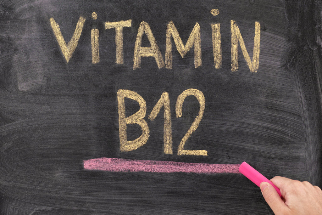 B12 on a Plant-Based Diet