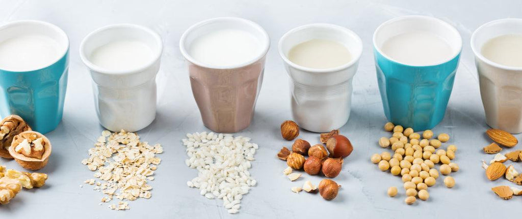 Plant-Based Milk Guide: Everything You Need To Know