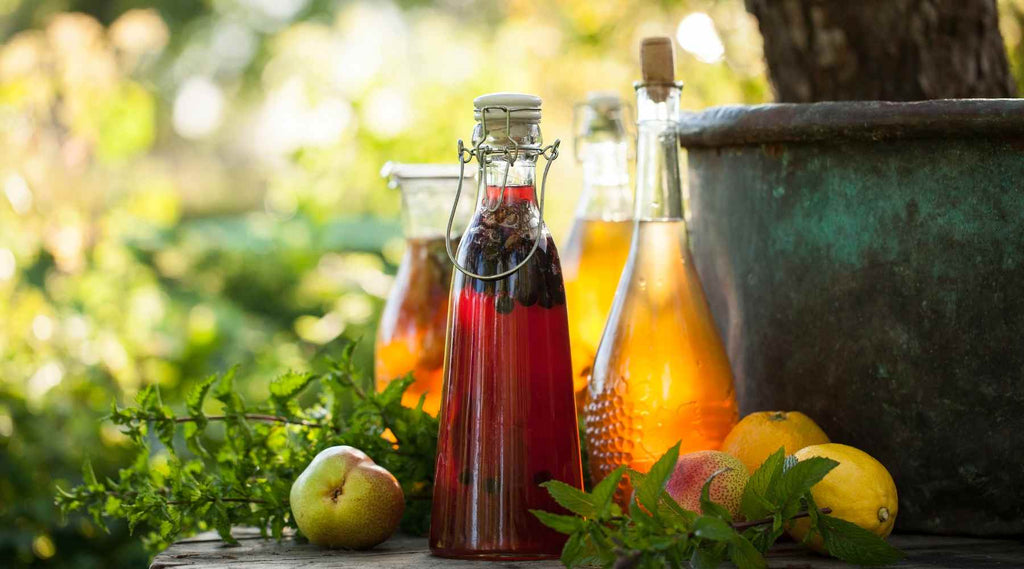 Energize and Revitalize: Discovering the Remarkable Benefits of Kombucha Tea