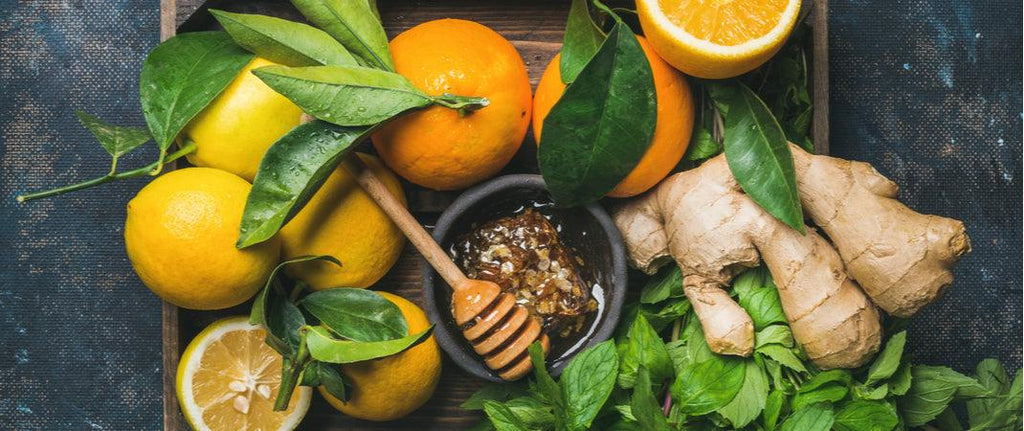 Best Plant-Based Ingredients to Boost Your Immune System
