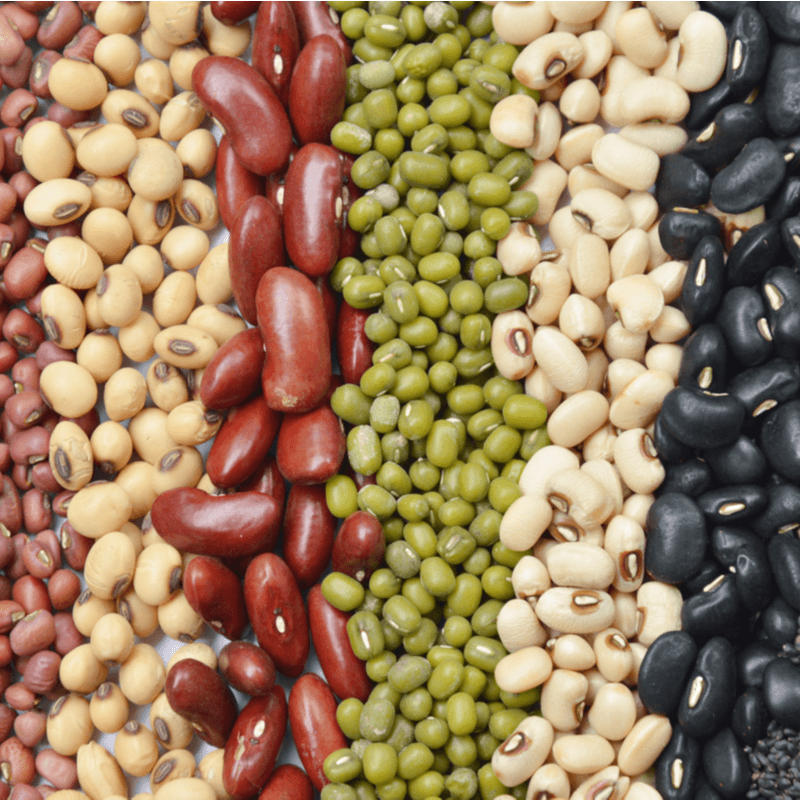 Is Plant-Based Protein Better?