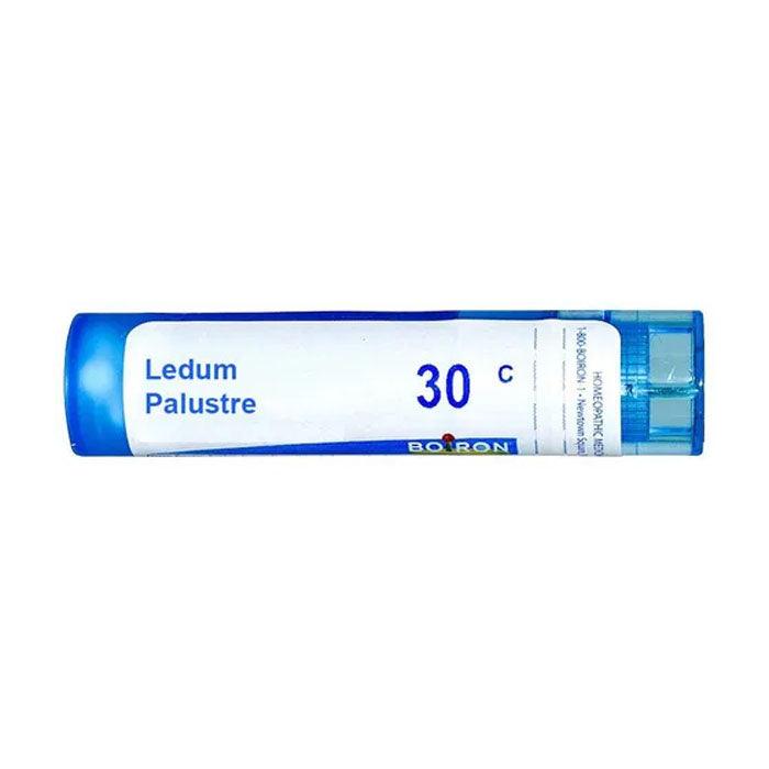 Boiron - Ledum Palustre, 4g - 30ch