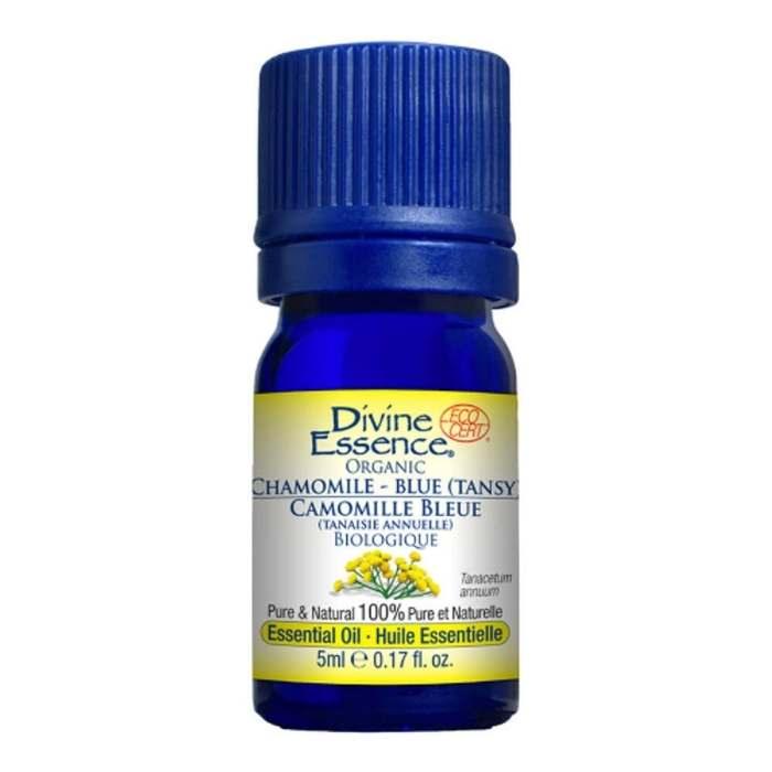 Divine Essence - Organic Blue Tansy Chamomile Essential Oil, 5ml - front