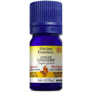 Divine Essence - Organic Ginger Essential Oil, 5ml
