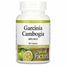 Natural Factors - Garcinia Cambogia, 90 Tablets