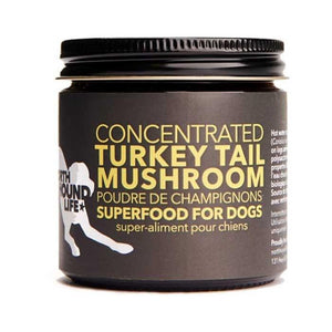 North Hound Life - Organic Turkey Tail Mushroom: Superfood for Dogs, 40g