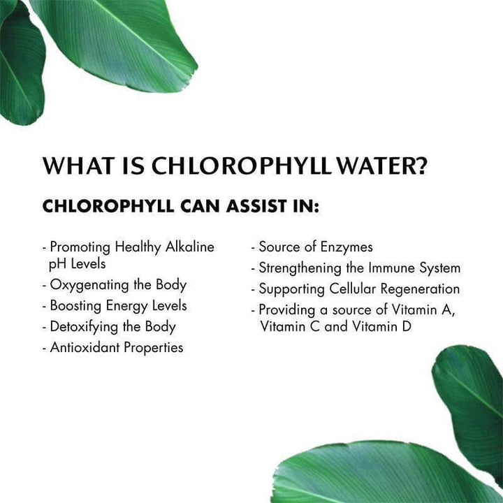 Chlorophyll Water - Nature Enhanced Purified Water, 20 oz- Pantry 5