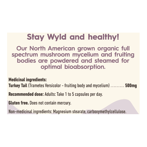 Stay Wyld Organics - Turkey Tail Mushroom Capsules, 12 Oz- Pantry 2